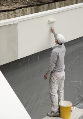 Professional Painting Services